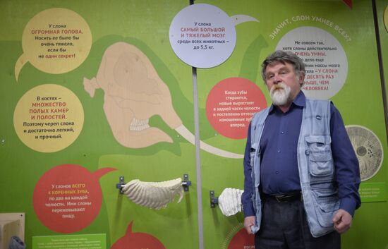 Elephant Museum opens at Moscow Zoo