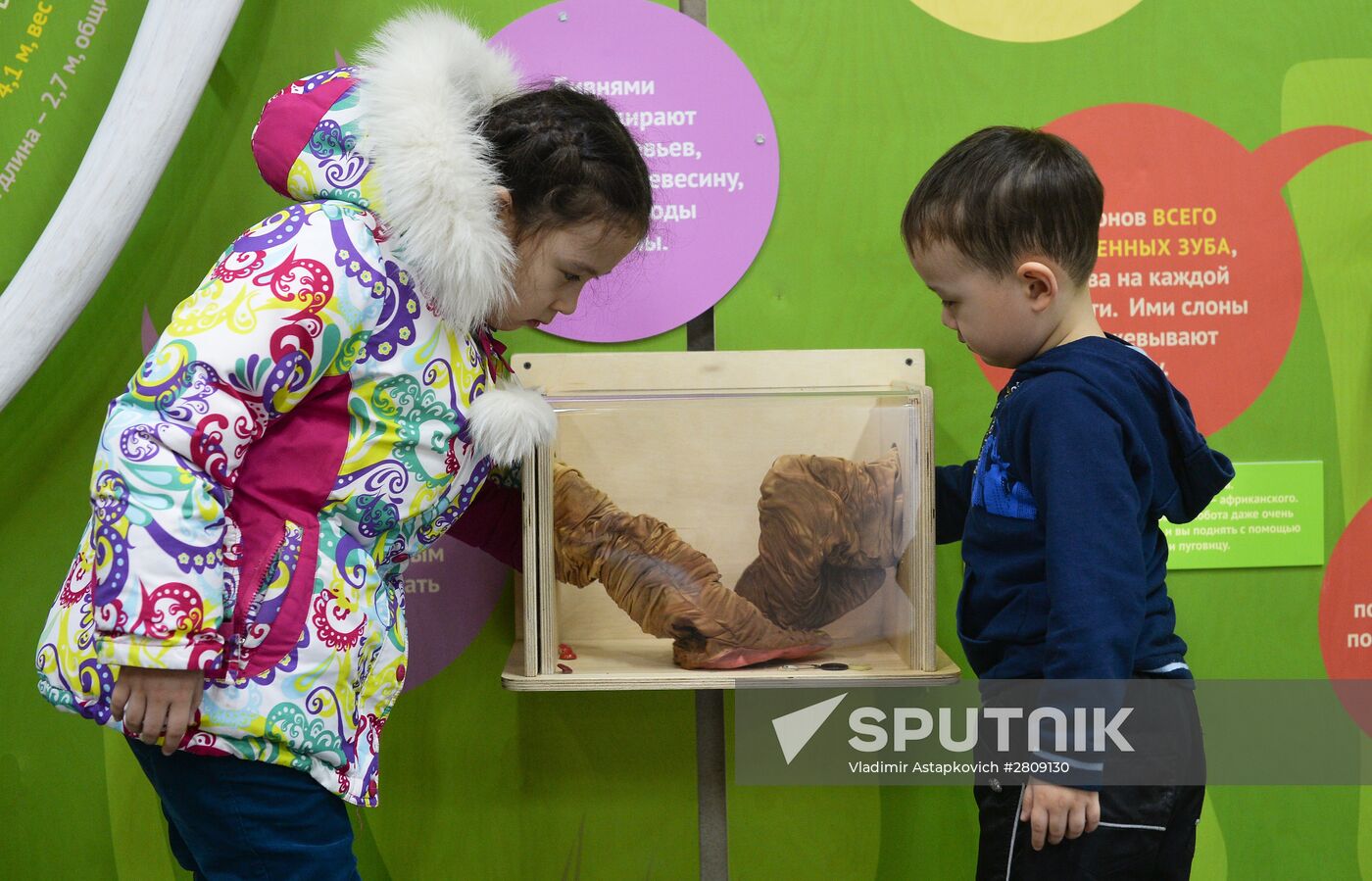 Elephant Museum opens at Moscow Zoo