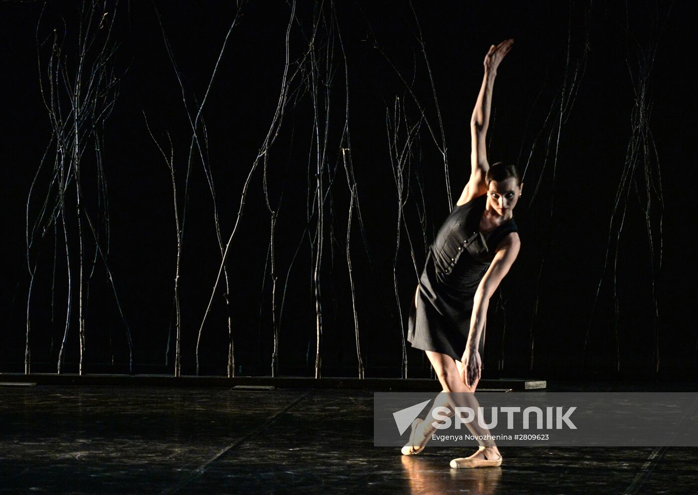 Minos and Steel Step performed at Golden Mask festival