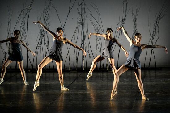 Minos and Steel Step performed at Golden Mask festival
