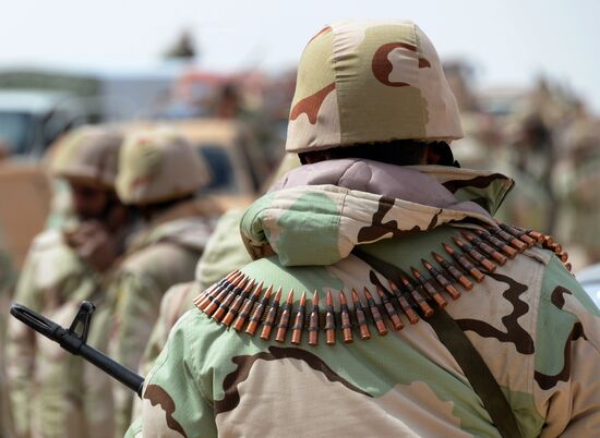 Desert Falcons self-defense unit