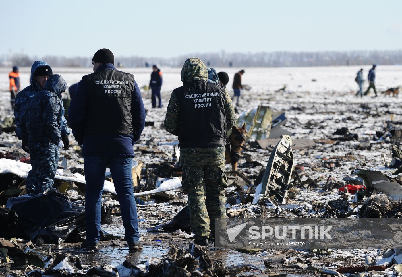 Boeing-737-800 passenger jet crashes in Rostov-on-Don airport