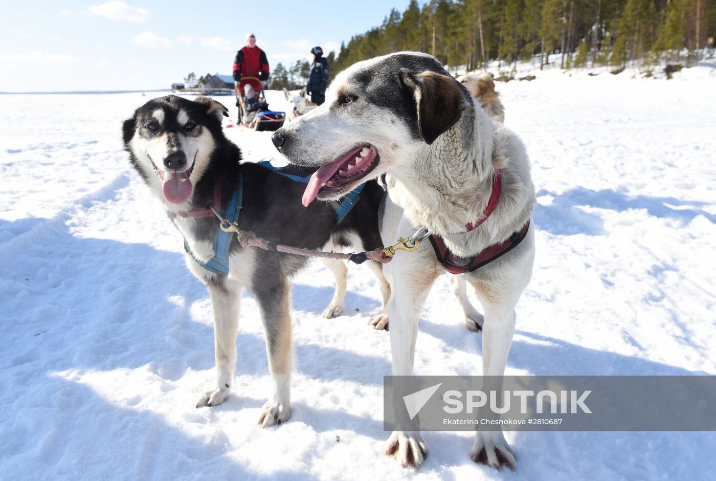 Spring equinox festival in Karelia