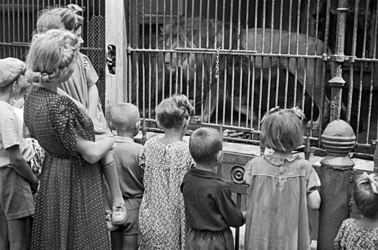 Moscow Zoo