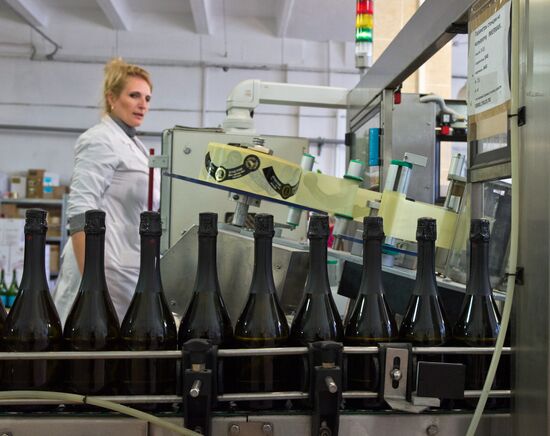 Wine making at Crimea's Zolotaya Balka company