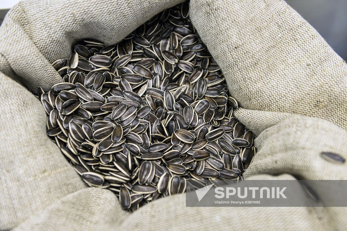 For Honest Public Procurement forum and fair