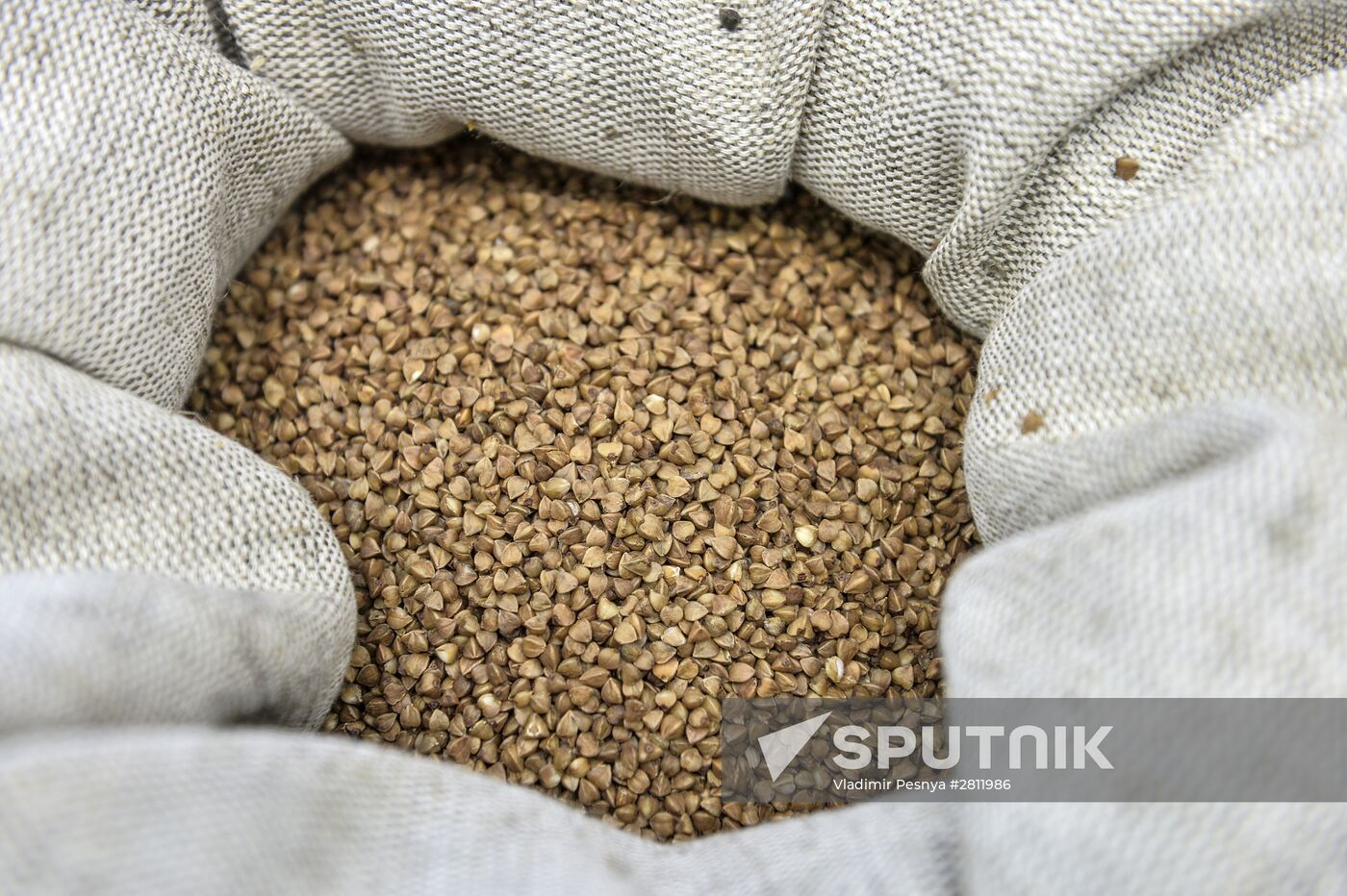 For Honest Public Procurement forum and fair