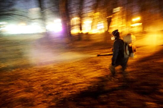 Antimite control work at forest-park areas of Kaliningrad