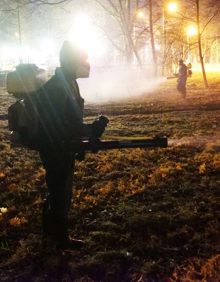 Antimite control work at forest-park areas of Kaliningrad