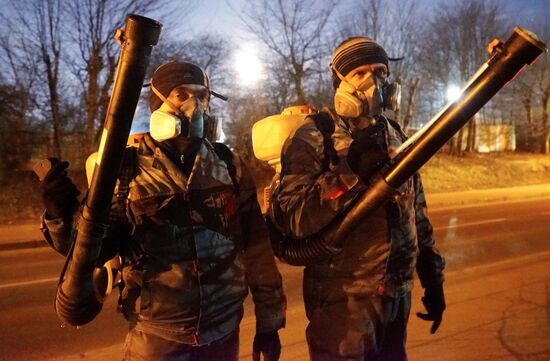Antimite control work at forest-park areas of Kaliningrad