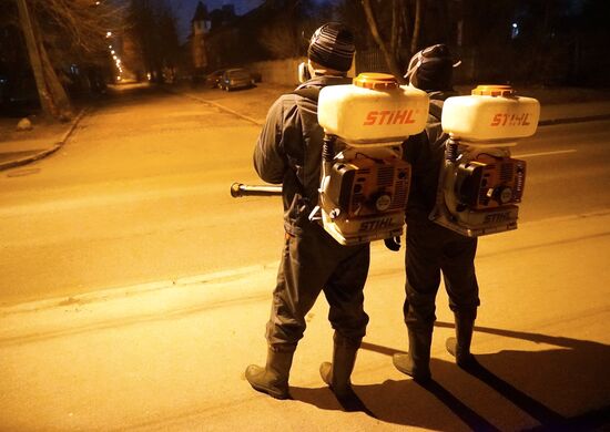 Antimite control work at forest-park areas of Kaliningrad