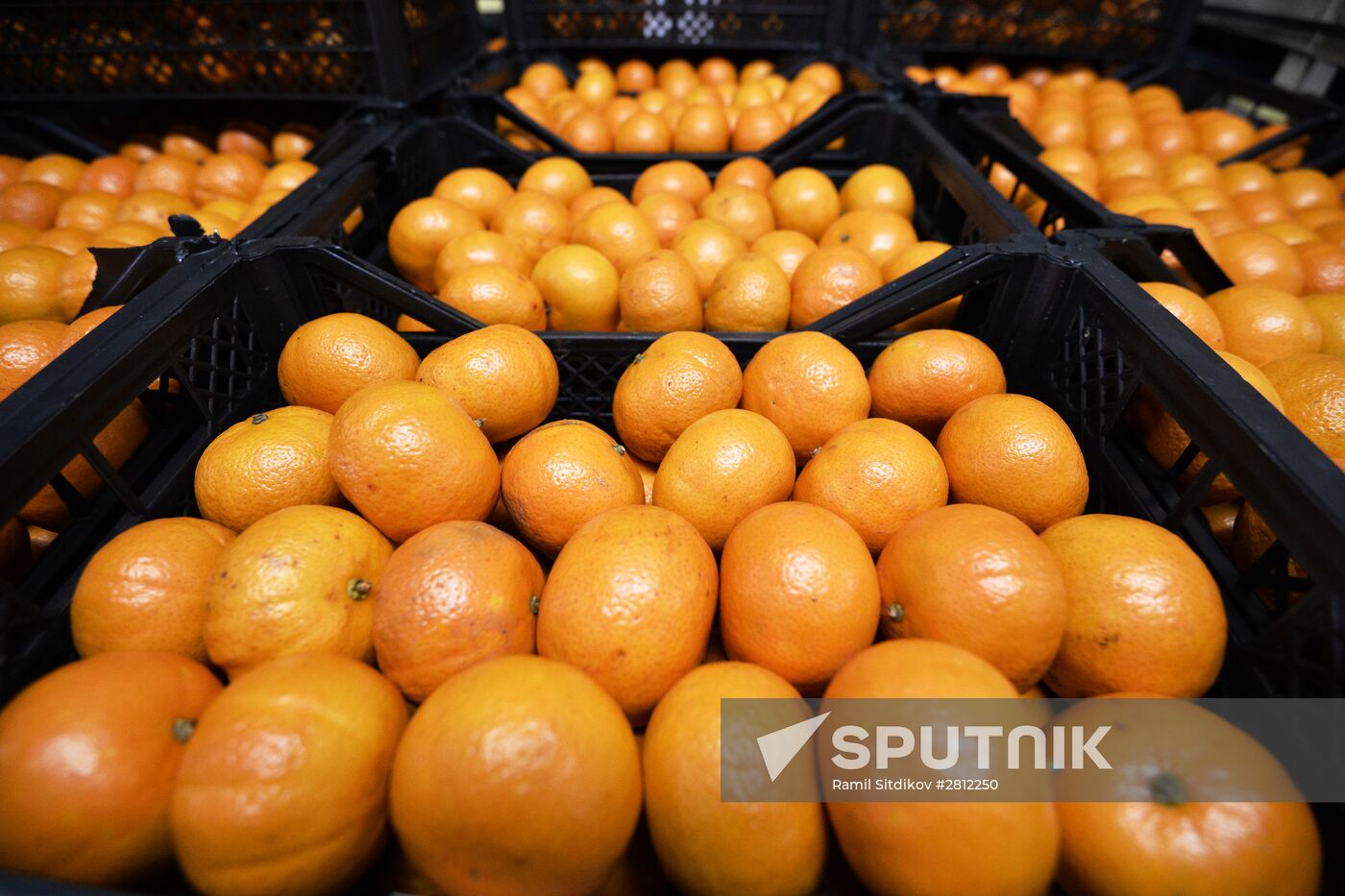 Syrian vegetable and fruit sold in Moscow