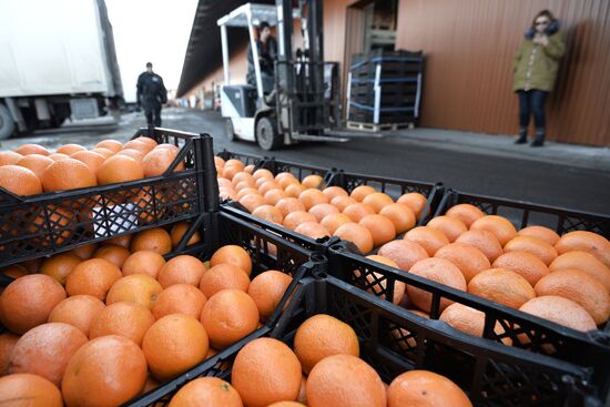 Goods from Syria sold in Moscow