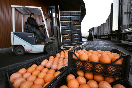 Goods from Syria sold in Moscow