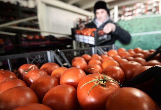 Goods from Syria sold in Moscow