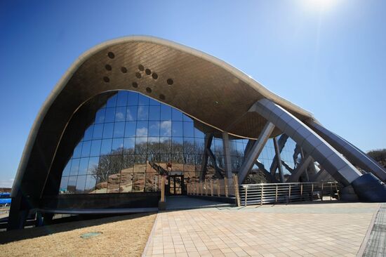 Oceanarium on Russky Island