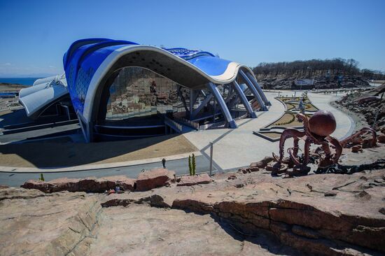 Oceanarium on Russky Island