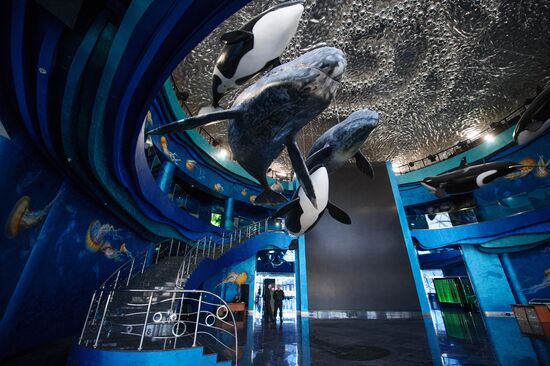 Oceanarium on Russky Island