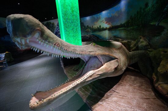 Oceanarium on Russky Island