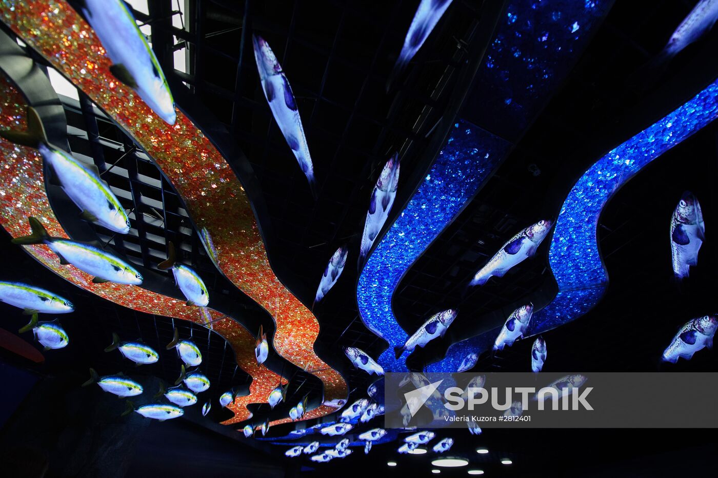 Oceanarium on Russky Island