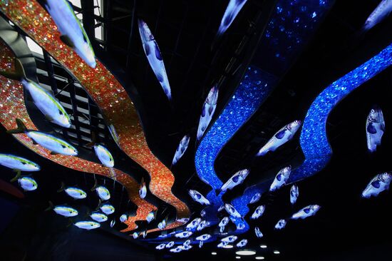 Oceanarium on Russky Island