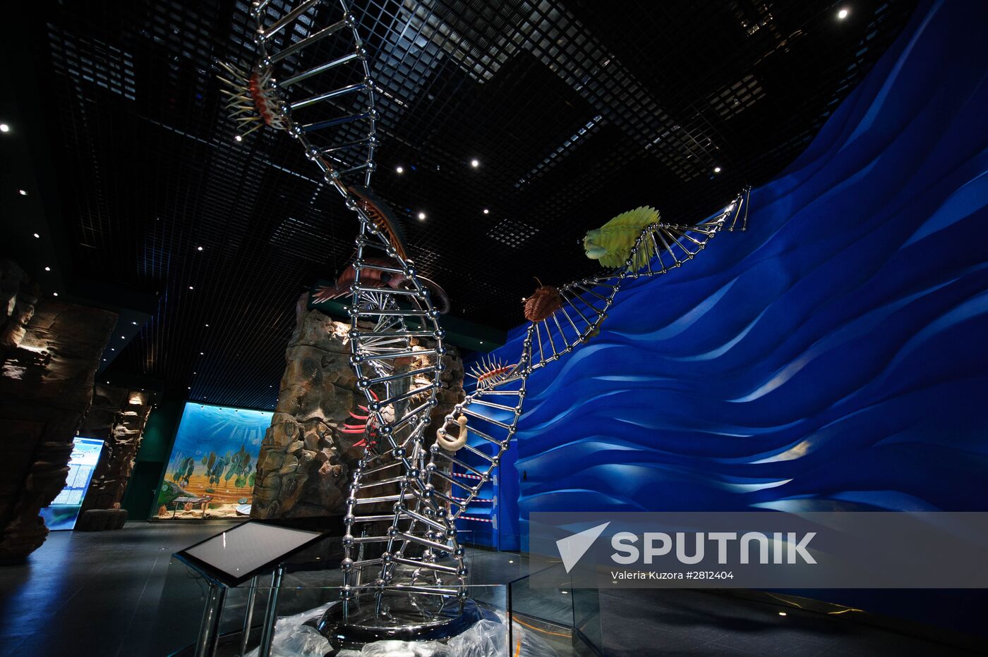 Oceanarium on Russky Island