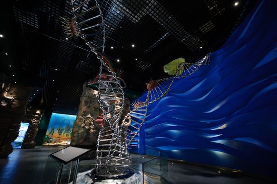 Oceanarium on Russky Island