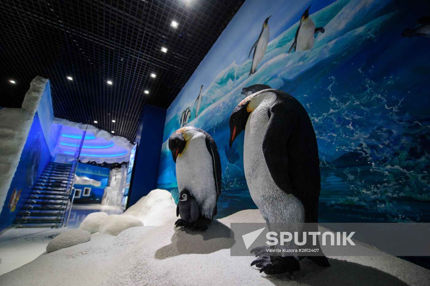 Oceanarium on Russky Island