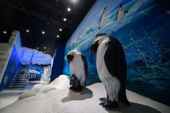 Oceanarium on Russky Island