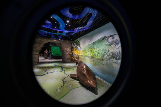 Oceanarium on Russky Island