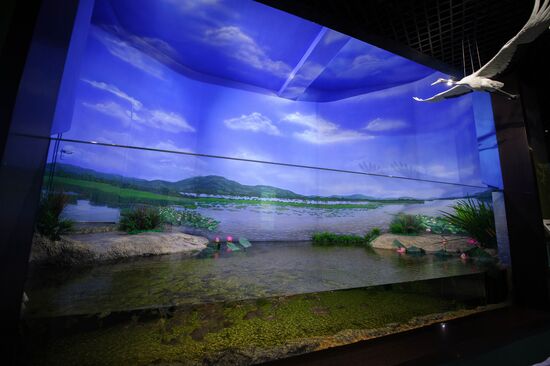 Oceanarium on Russky Island