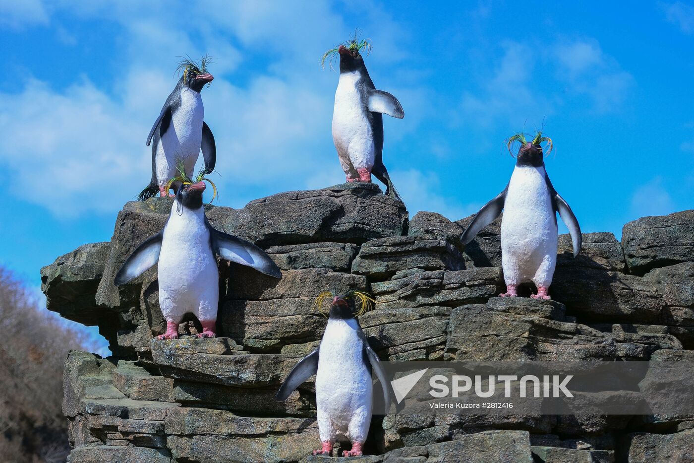 Oceanarium on Russky Island