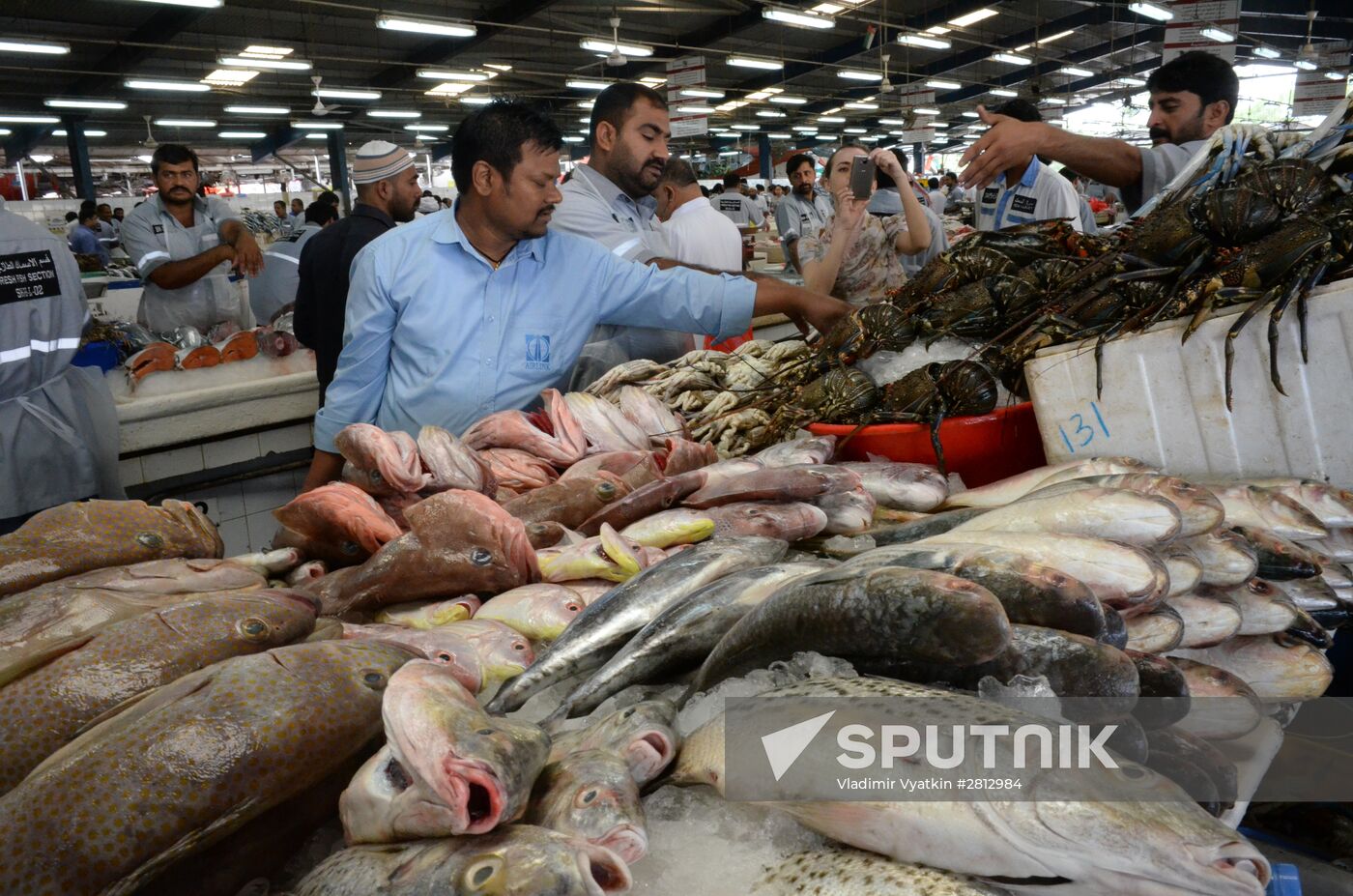 Fish market in Dubai