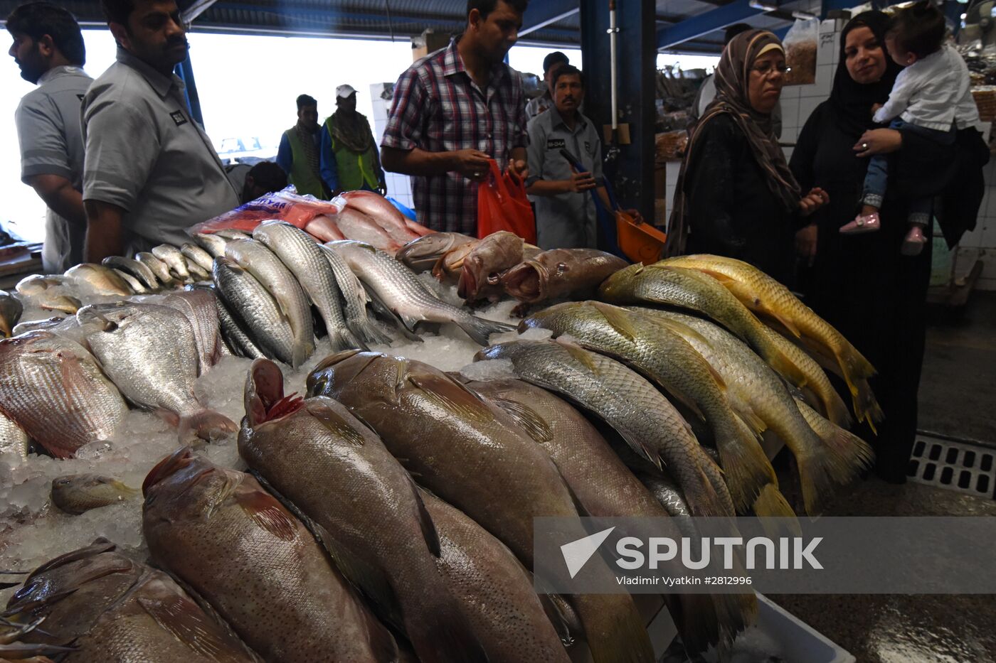 Fish market in Dubai