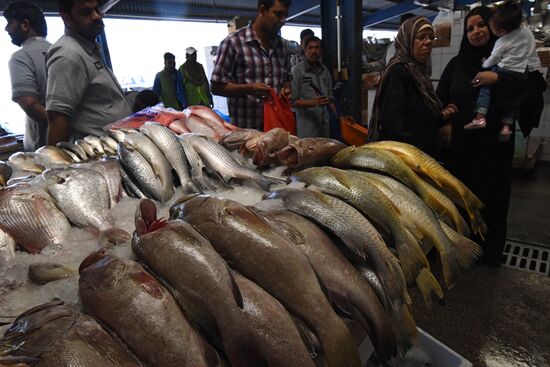 Fish market in Dubai