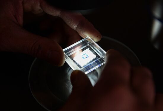 Institute of Geology and Mineralogy of the Siberian Branch of the RAS