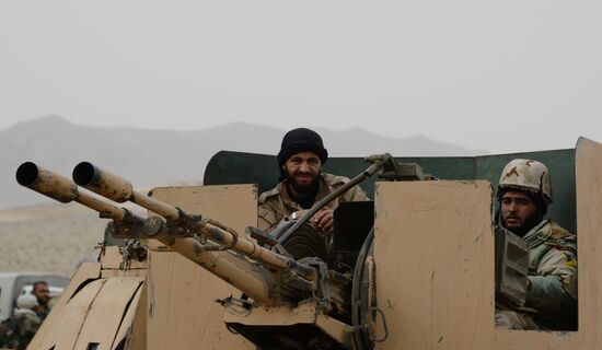 Syrian army and militias fight for Palmyra