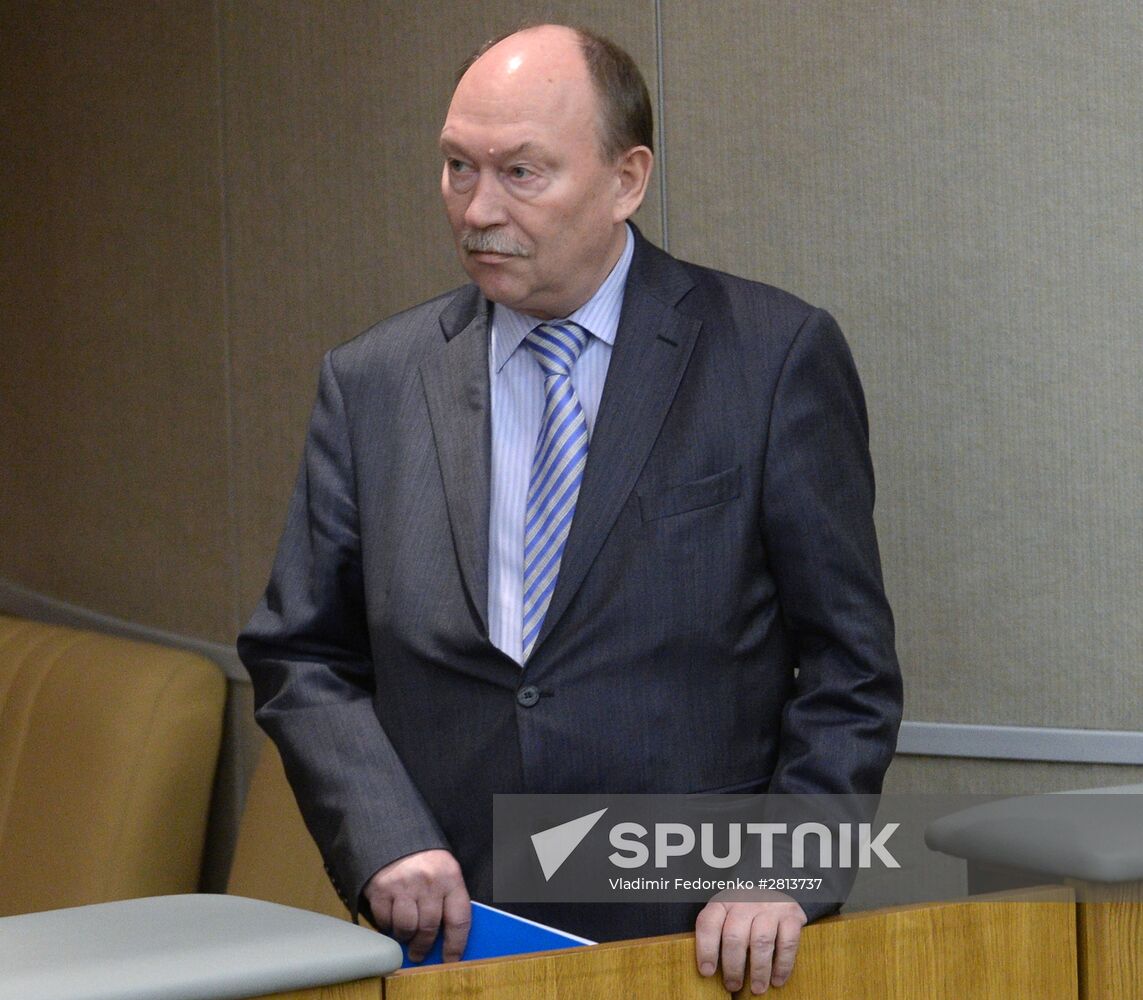 State Duma plenary meeting