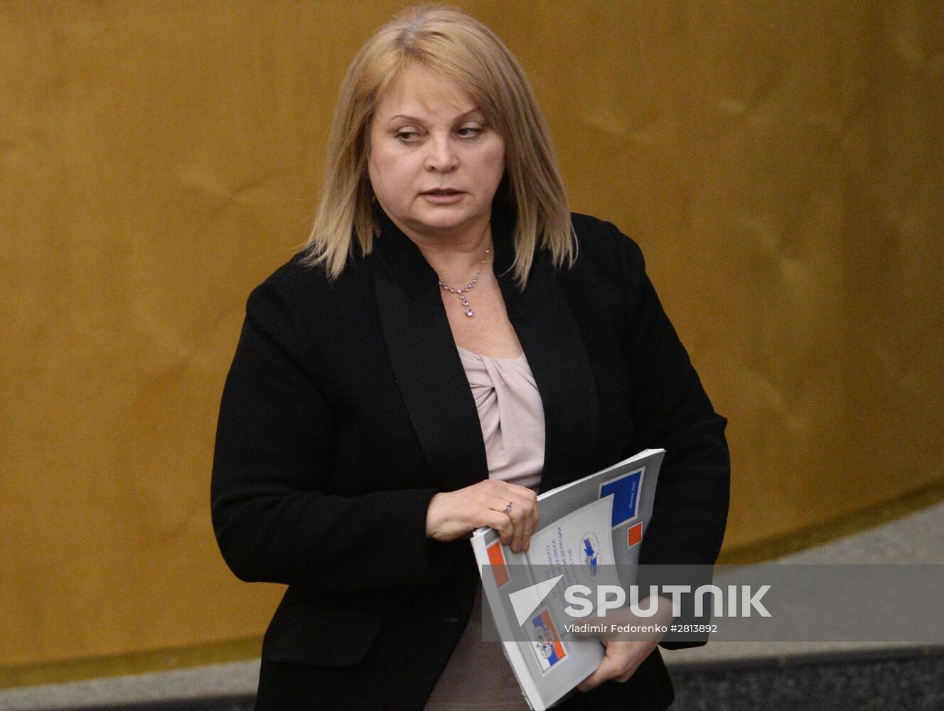 State Duma plenary meeting