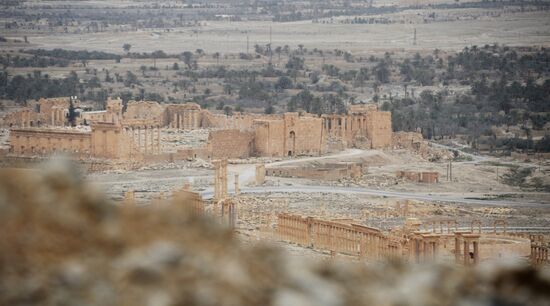 Ancient Palmyra liberated from terrorists