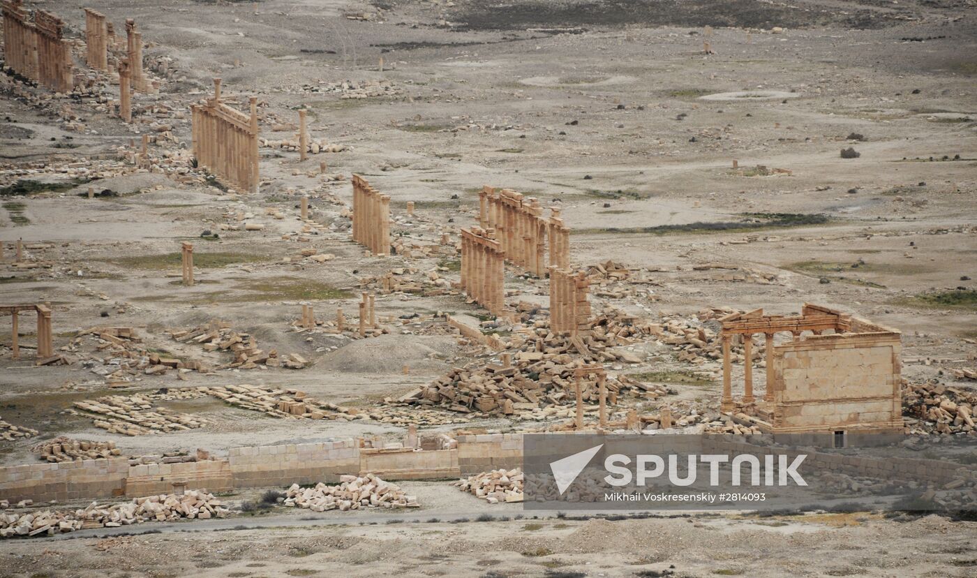 Ancient Palmyra liberated from terrorists