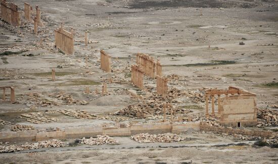 Ancient Palmyra liberated from terrorists