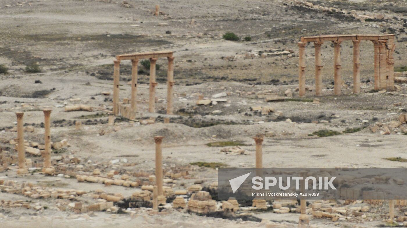 Ancient Palmyra liberated from terrorists