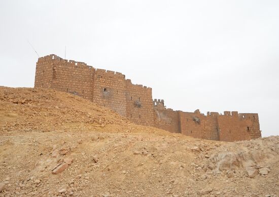 Syrian government army and militia fight for Palmyra