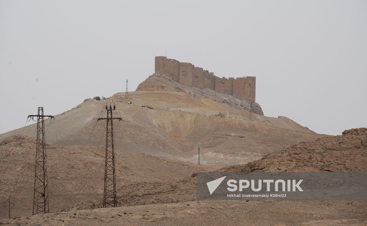 Syrian government army and militia fight for Palmyra