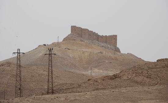 Syrian government army and militia fight for Palmyra