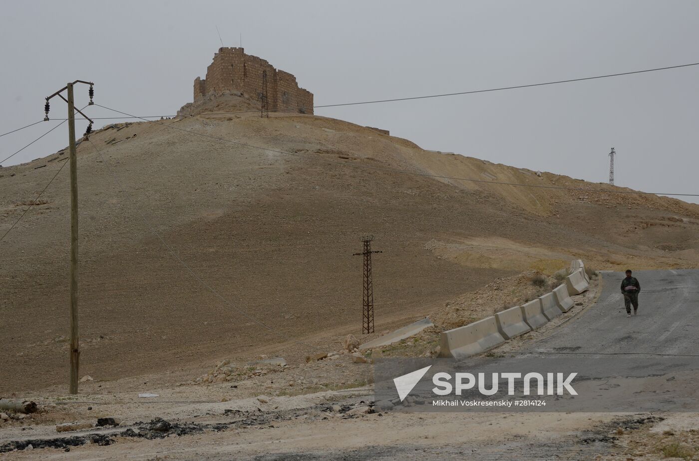 Syrian government army and militia fight for Palmyra