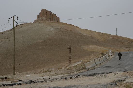 Syrian government army and militia fight for Palmyra