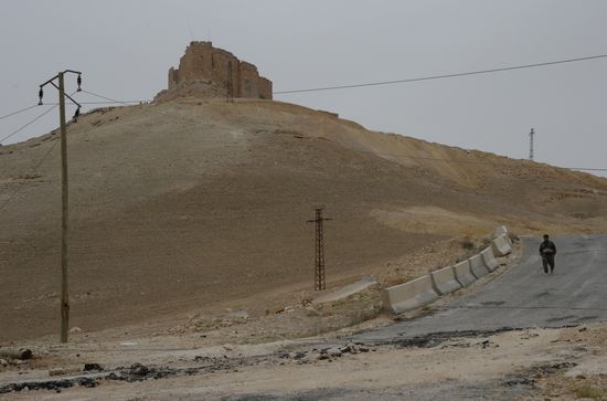 Syrian government army and militia fight for Palmyra