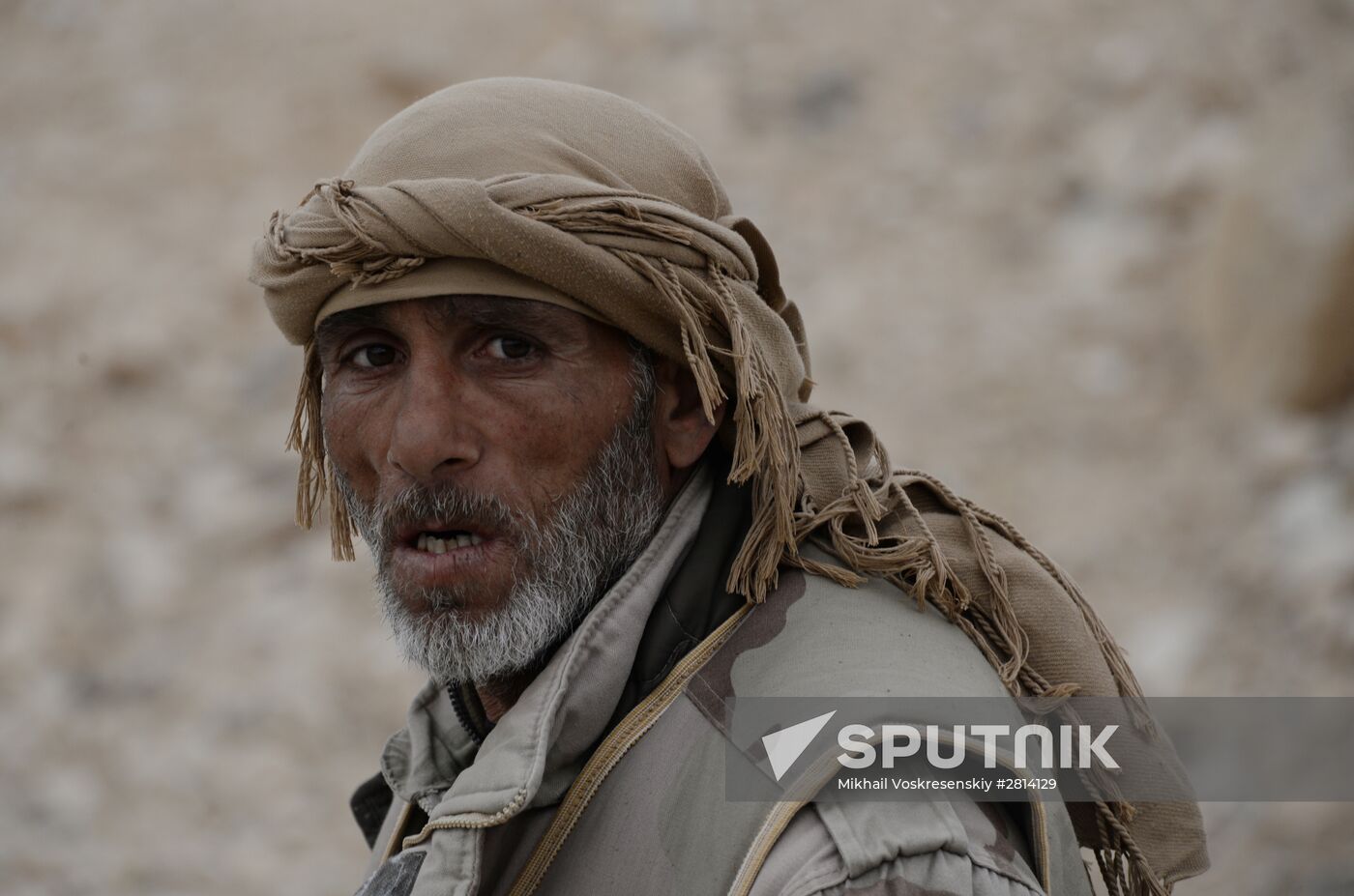 Syrian government army and militia fight for Palmyra